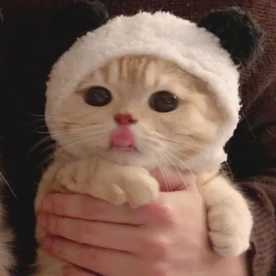 Adi Nugroho avatar