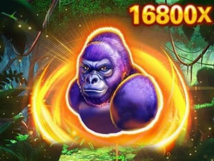Kong screenshot